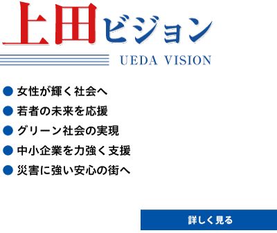 上田ビジョン